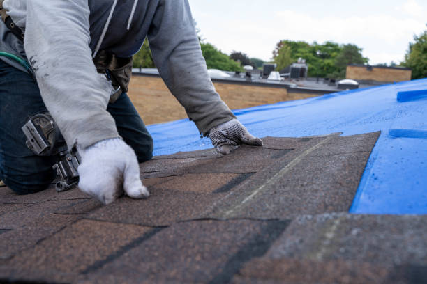 Best Metal Roofing Contractor  in Ellport, PA