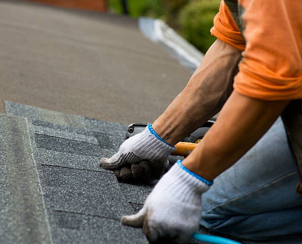 Best Roof Gutter Cleaning  in Ellport, PA